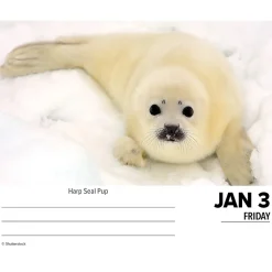 2025 Willow Creek Baby Animals 6.2