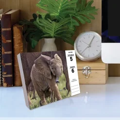 2025 Willow Creek Baby Animals 6.2