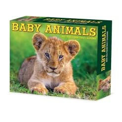 2025 Willow Creek Baby Animals 6.2