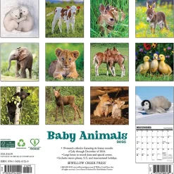2025 Willow Creek Baby Animals 12" x 12" Monthly Wall Calendar (41529)