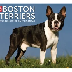 2025 Willow Creek Boston Terriers 6