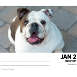 2025 Willow Creek Bulldogs 6