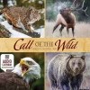 2025 Willow Creek Call of the Wild 12" x 12" Monthly Wall Calendar (42113)