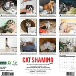 2025 Willow Creek Cat Shaming 12" x 12" Monthly Wall Calendar (42205)