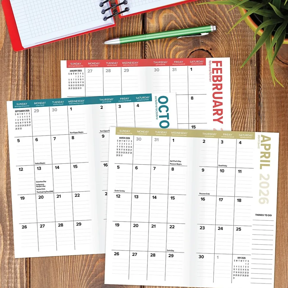 2025 Willow Creek Cat-astrophe 3.5" x 6.5" Monthly Planner Cover, Multicolored (46906)