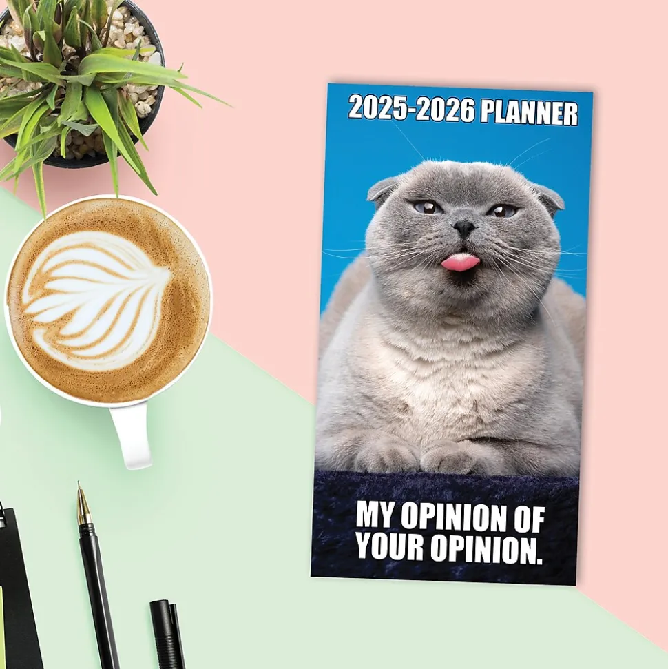 2025 Willow Creek Cat-astrophe 3.5" x 6.5" Monthly Planner Cover, Multicolored (46906)