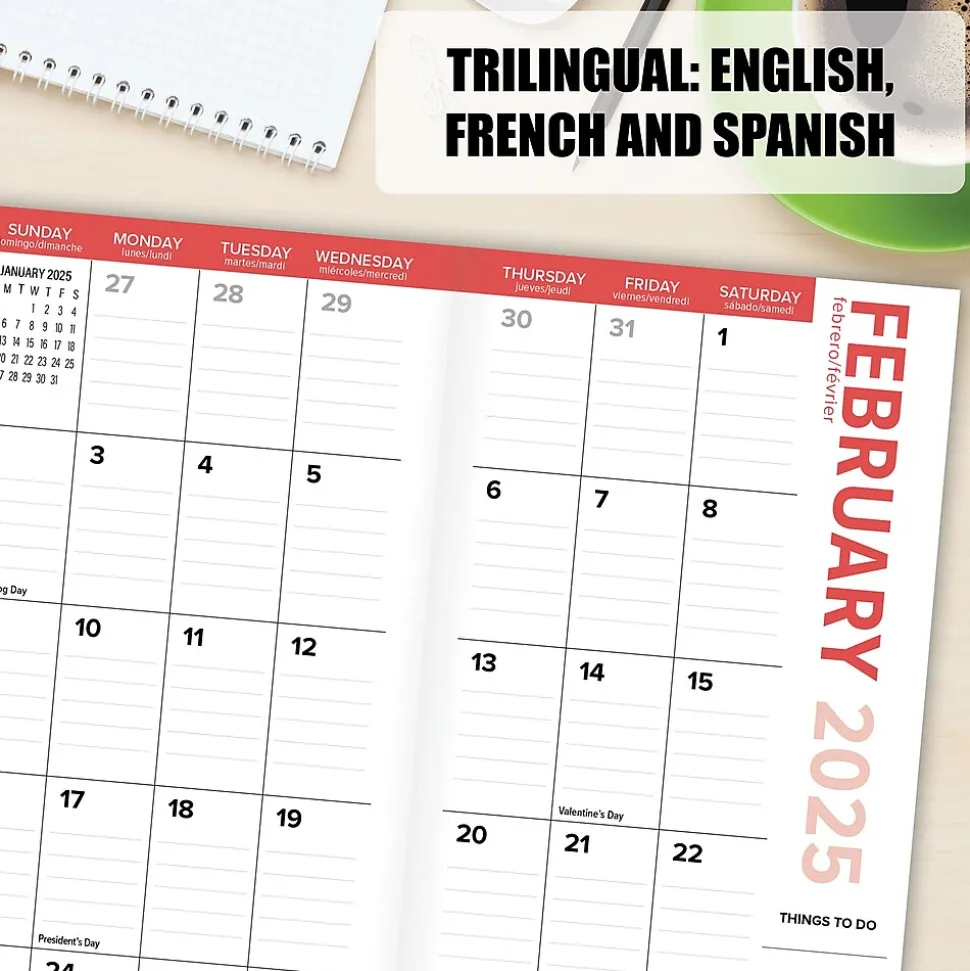 2025 Willow Creek Cat-astrophe 3.5" x 6.5" Monthly Planner Cover, Multicolored (46906)