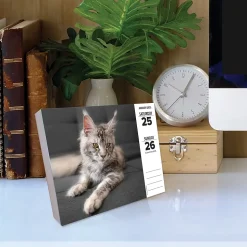 2025 Willow Creek Cats 6