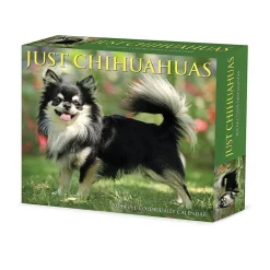 2025 Willow Creek Chihuahuas 6" x 5.5" Day-to-Day Calendar, Multicolor (40737)