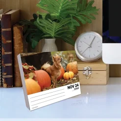 2025 Willow Creek Chihuahuas 6