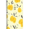 2025 Willow Creek Citrus Grove 3.5" x 6.5" Academic Year Weekly Planner Cover, Multicolored (48726)