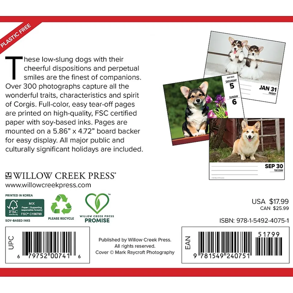 2025 Willow Creek Corgis (Dogs and Puppies) 6" x 5.5" Day-to-Day Calendar, Multicolor (40751)