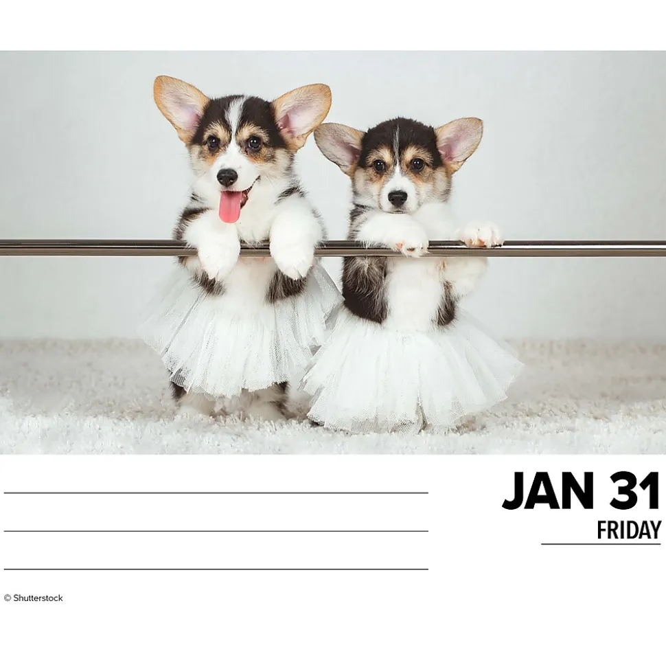 2025 Willow Creek Corgis (Dogs and Puppies) 6" x 5.5" Day-to-Day Calendar, Multicolor (40751)