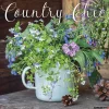 2025 Willow Creek Country Chic 12" x 12" Monthly Wall Calendar (42588)