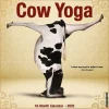 2025 Willow Creek Cow Yoga 7" x 7" Monthly Wall Calendar (45725)