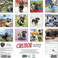 2025 Willow Creek Crusoe the Celebrity Dachshund 12" x 12" Monthly Wall Calendar (42632)