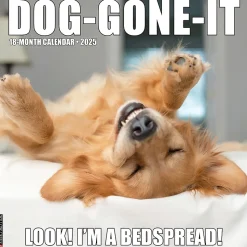 2025 Willow Creek Dog-Gone-It 12" x 12" Monthly Wall Calendar (42724)