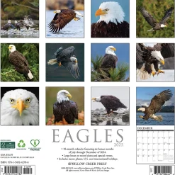 2025 Willow Creek Eagles 12" x 12" Monthly Wall Calendar (42786)