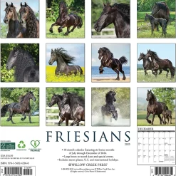 2025 Willow Creek Friesians 12" x 12" Monthly Wall Calendar (42960)