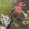 2025 Willow Creek Garden Birds of North America 12" x 12" Monthly Wall Calendar (42984)