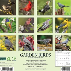 2025 Willow Creek Garden Birds of North America 12" x 12" Monthly Wall Calendar (42984)