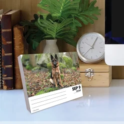 2025 Willow Creek German Shepherds 6