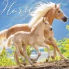 2025 Willow Creek Happiness is a Horse 12" x 12" Monthly Wall Calendar (43271)