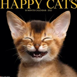 2025 Willow Creek Happy Cats 12" x 12" Monthly Wall Calendar (43288)