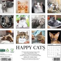 2025 Willow Creek Happy Cats 12" x 12" Monthly Wall Calendar (43288)