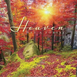 2025 Willow Creek Heaven Has a Forest 12" x 12" Monthly Wall Calendar (43325)