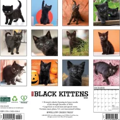2025 Willow Creek Just Black Kittens 12" x 12" Monthly Wall Calendar, Multicolor (41840)