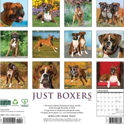 2025 Willow Creek Just Boxers 12" x 12" Monthly Wall Calendar, Multicolor (41949)