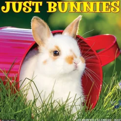 2025 Willow Creek Just Bunnies 12" x 12" Monthly Wall Calendar (42045)