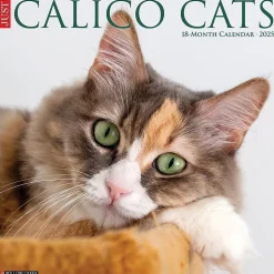 2025 Willow Creek Just Calico Cats 12" x 12" Monthly Wall Calendar (42090)