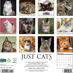 2025 Willow Creek Just Cats 12" x 12" Monthly Wall Calendar (42236)