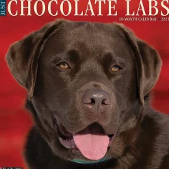 2025 Willow Creek Just Chocolate Labs 12
