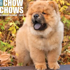2025 Willow Creek Just Chow Chows 12