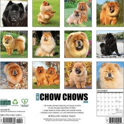 2025 Willow Creek Just Chow Chows 12" x 12" Monthly Wall Calendar (42380)