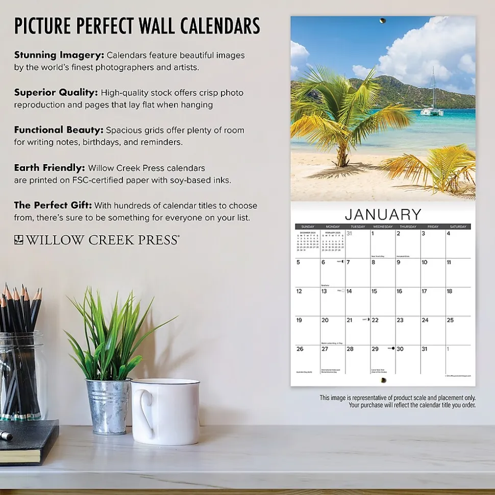 2025 Willow Creek Just Dachshund Puppies 12" x 12" Monthly Wall Calendar (42649)