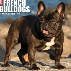 2025 Willow Creek Just French Bulldogs 12
