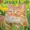 2025 Willow Creek Just Ginger Cats 12" x 12" Monthly Wall Calendar (43059)