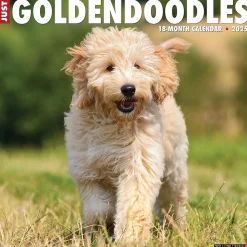 2025 Willow Creek Just Goldendoodles 12