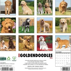 2025 Willow Creek Just Goldendoodles 12" x 12" Monthly Wall Calendar (43127)