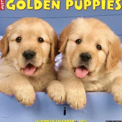 2025 Willow Creek Just Golden Puppies 12