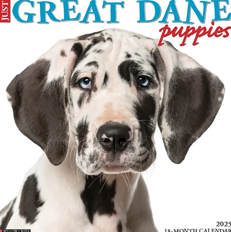 2025 Willow Creek Just Great Dane Puppies 12" x 12" Monthly Wall Calendar (43189)