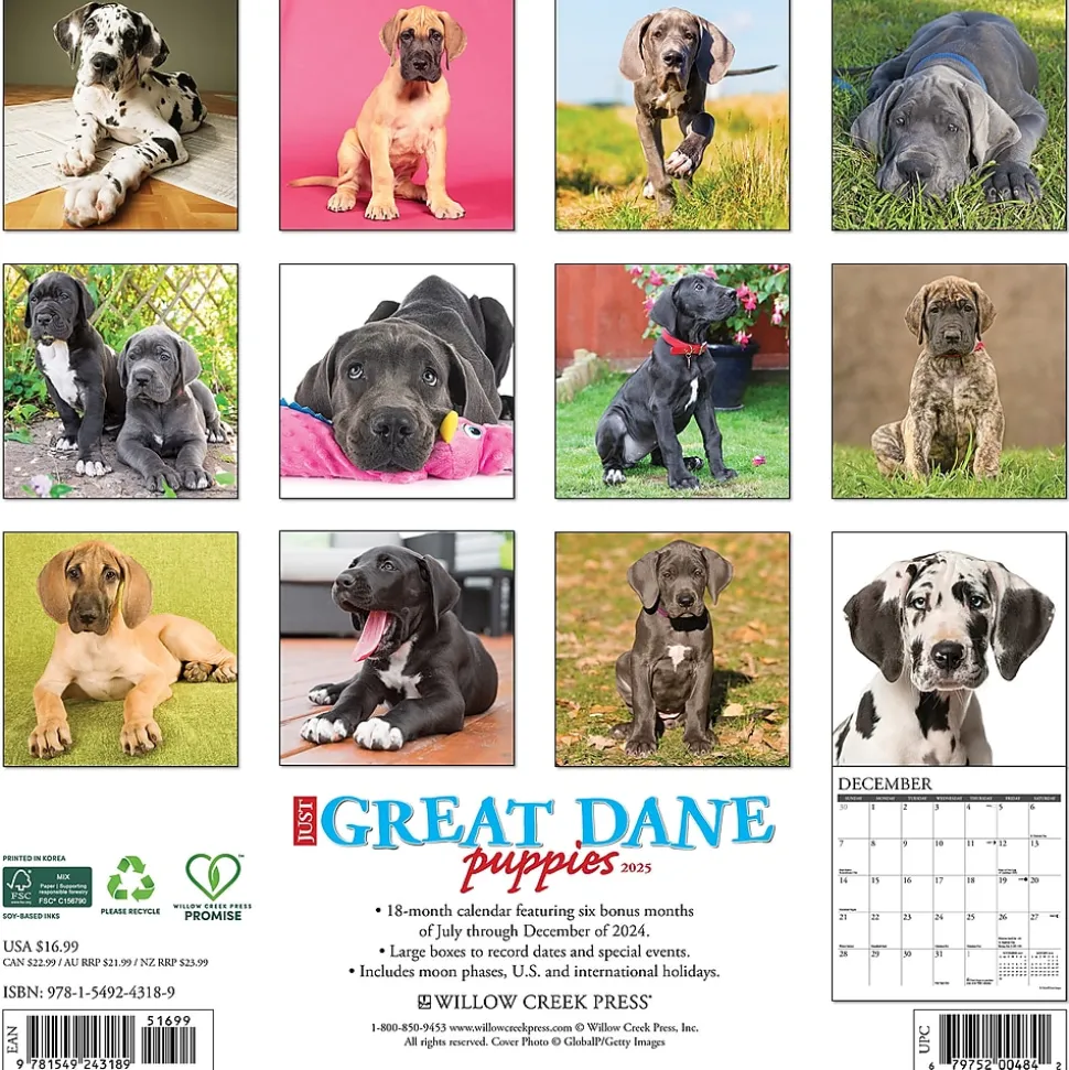 2025 Willow Creek Just Great Dane Puppies 12" x 12" Monthly Wall Calendar (43189)