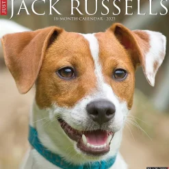 2025 Willow Creek Just Jack Russells 12" x 12" Monthly Wall Calendar (43554)