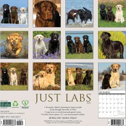 2025 Willow Creek Just Labs 12" x 12" Monthly Wall Calendar (43677)
