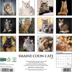 2025 Willow Creek Just Maine Coon Cats 12" x 12" Monthly Wall Calendar (43813)