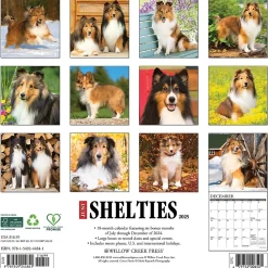 2025 Willow Creek Just Shelties 12" x 12" Monthly Wall Calendar (44841)